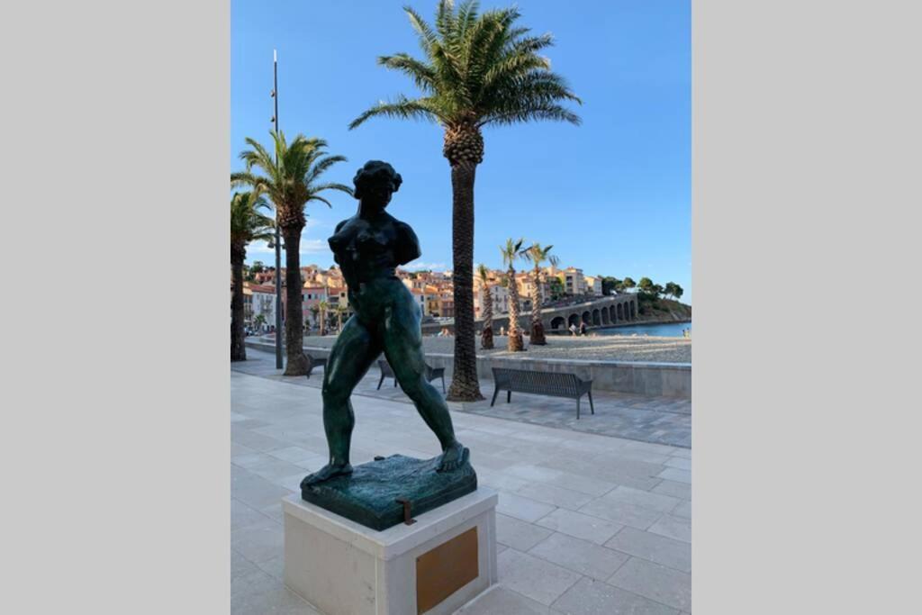 Attique A Banyuls - Vue Mer Et Montagne Eksteriør billede