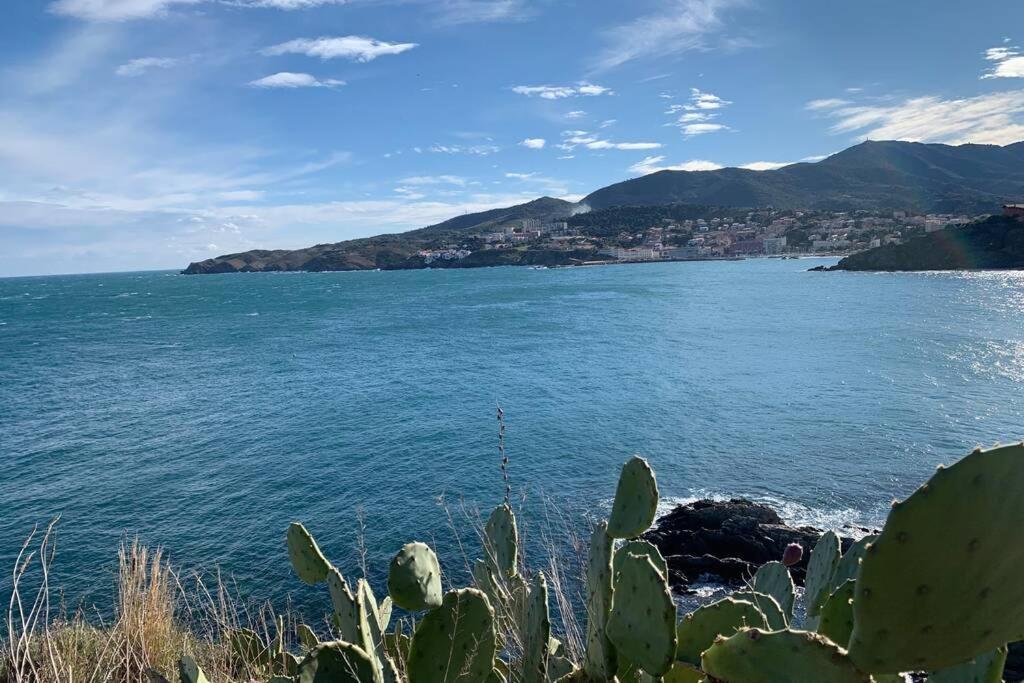 Attique A Banyuls - Vue Mer Et Montagne Eksteriør billede