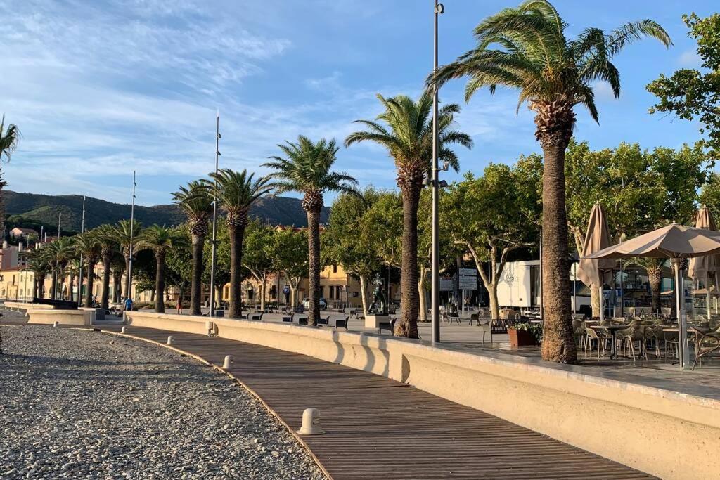 Attique A Banyuls - Vue Mer Et Montagne Eksteriør billede